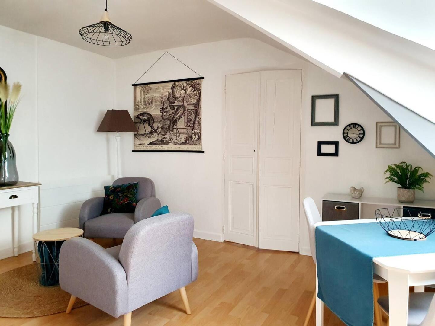 Chic Sous Les Toits Du Centre Historique Appartement